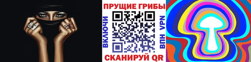 закладка  Воронеж  Галлюциногенные грибы GOLDEN TEACHER 